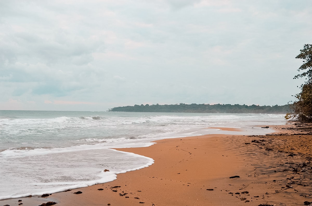 Exploring Manzanillo and Puerto Viejo In Costa Rica | Travel Central America | Caribbean | Hike | Hiking | Ocean | Rainforest | Backpacking Costa Rica | Beautiful beaches | What to do | Where to sleep | wildlife | party | Backpackers Wanderlust |