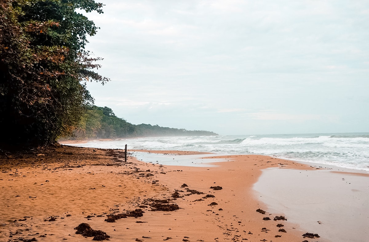 Exploring Manzanillo and Puerto Viejo In Costa Rica | Travel Central America | Caribbean | Hike | Hiking | Ocean | Rainforest | Backpacking Costa Rica | Beautiful beaches | What to do | Where to sleep | wildlife | party | Backpackers Wanderlust |