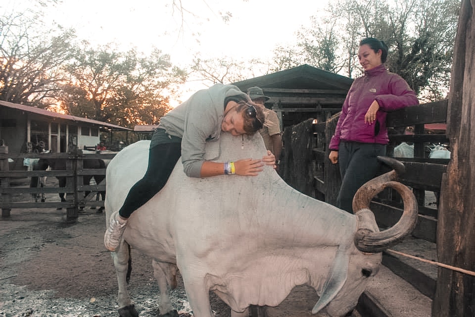 Exploring Ricon De La Vieja In Costa Rica | Travel Central America | Guanacaste | Hike | Hiking | Volcano | Rainforest | Backpacking Costa Rica | Mud bath | What to do | Where to sleep | Horse riding | Tubing | Backpackers Wanderlust |