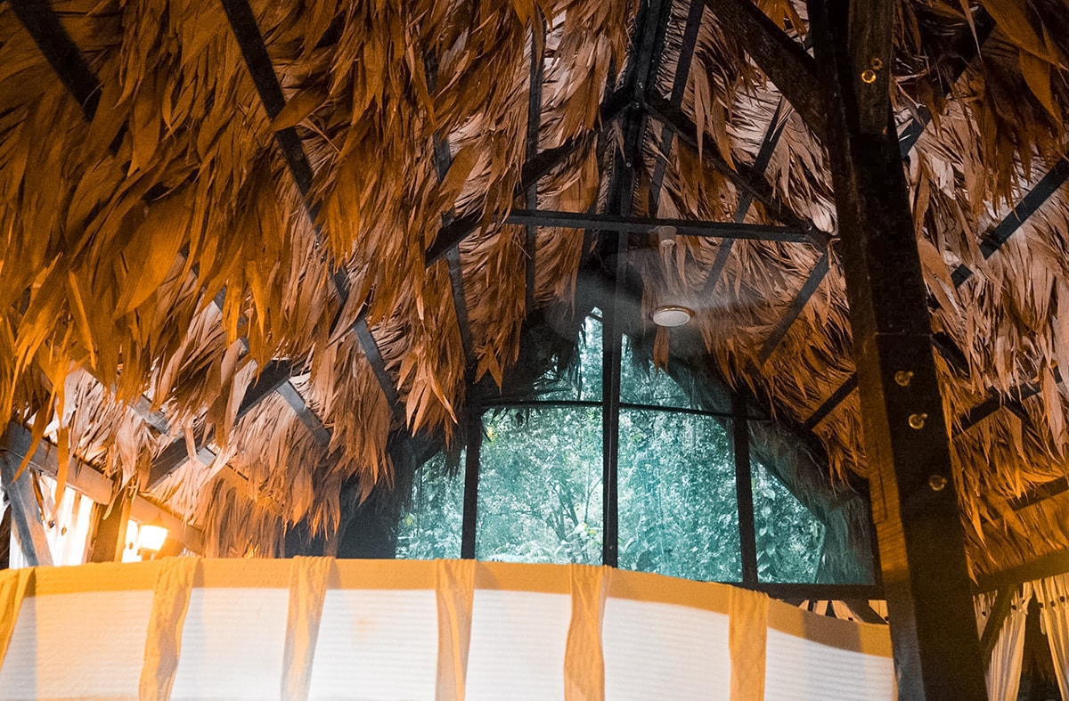 Exploring Manzanillo and Puerto Viejo In Costa Rica | Travel Central America | Caribbean | Hike | Hiking | Ocean | Rainforest | Backpacking Costa Rica | Beautiful beaches | What to do | Where to sleep | wildlife | party | Backpackers Wanderlust |