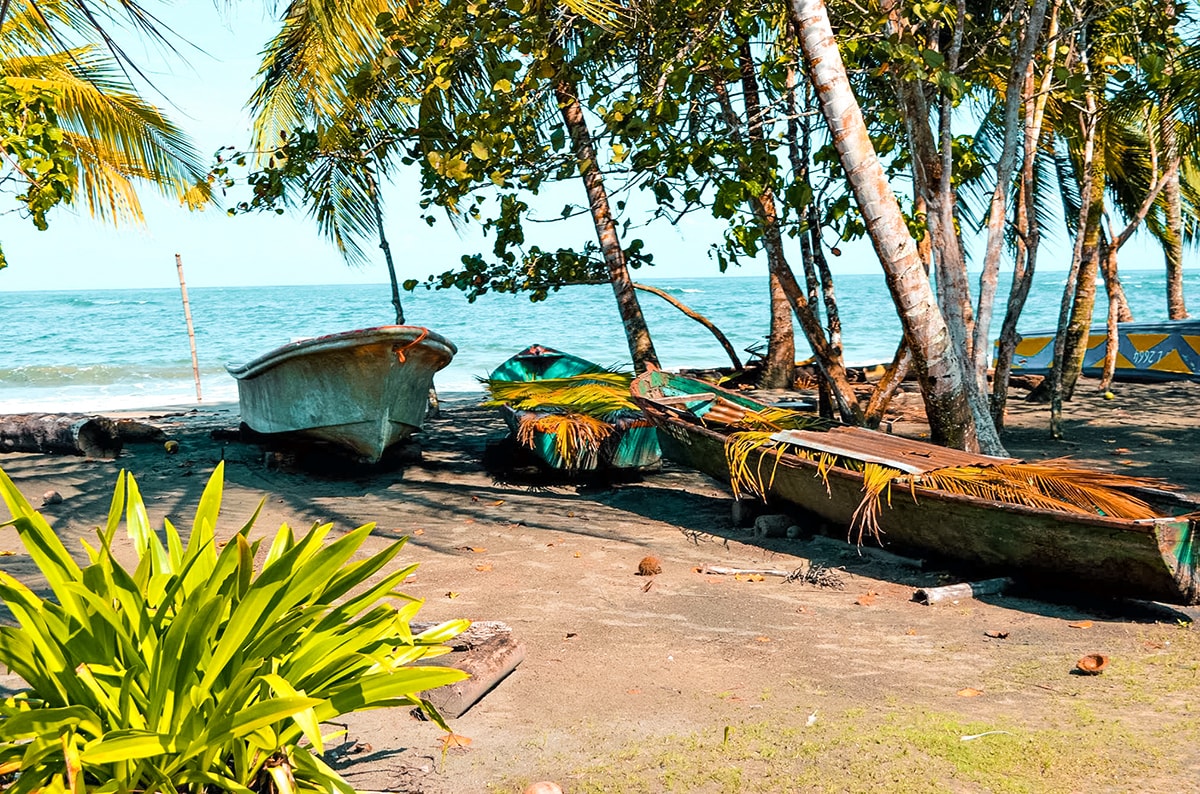 Exploring Manzanillo and Puerto Viejo In Costa Rica | Travel Central America | Caribbean | Hike | Hiking | Ocean | Rainforest | Backpacking Costa Rica | Beautiful beaches | What to do | Where to sleep | wildlife | party | Backpackers Wanderlust |