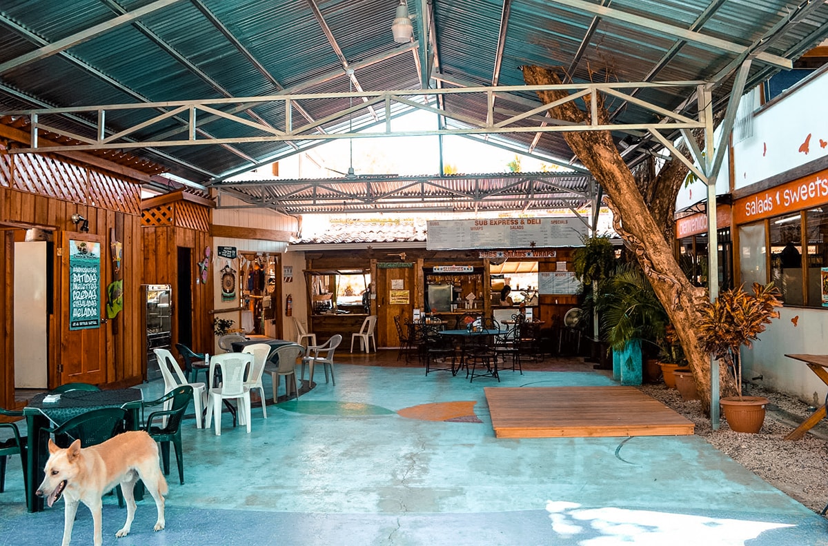 Samara In Costa Rica | Travel Central America | Samara | Hike | Surfing | Surf | Beach | Backpacking Costa Rica | Kayaking | What to do | Where to sleep | Swimming | Tubing | Backpackers Wanderlust |