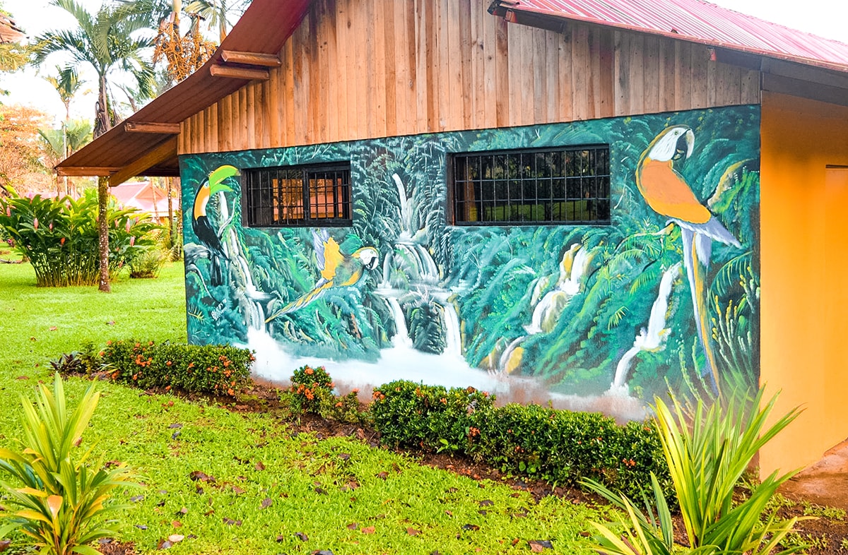 Exploring La Fortuna In Costa Rica | Travel Central America | La Fortuna | Zip line Costa Rica | Zip lining | Volcano | Rainforest | Backpacking Costa Rica | Hot pools | What to do | Where to sleep | Backpackers Wanderlust |