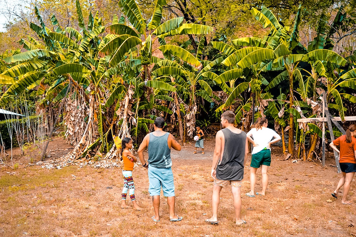 Ostional, Costa Rica | Volunteer work | Conservation | Animals | Turtles | Costa Rica | Guanacaste | Ostional | International Student Volunteers | ISV | Why should I pay | Volunteer Abroad | What to do | Backpacking | Budget Travel | Solo Female Travel | Backpackers Wanderlust |