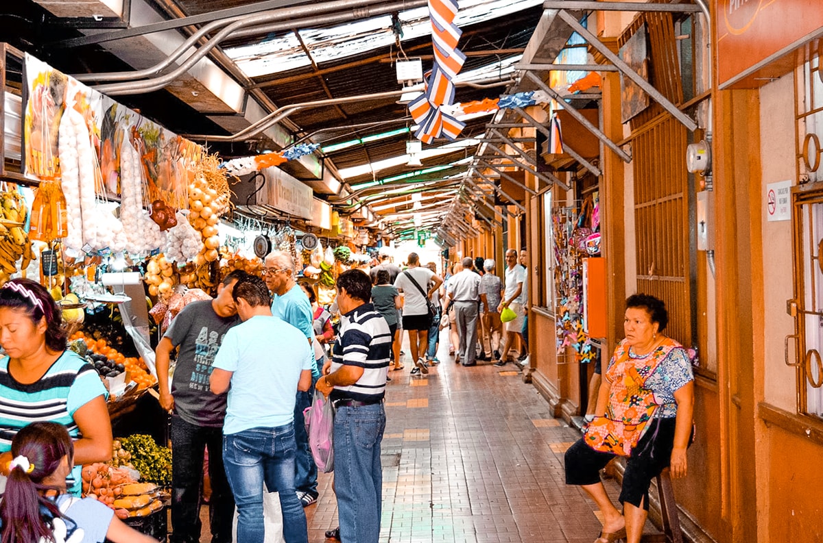 Studing in Heredia, Costa Rica | Travel Central America | Learn Spanish | Hike | Hiking | Intercultura | Rainforest | Backpacking Costa Rica | San Jose | What to do | Where to sleep | Heredia | studying abroad | Backpackers Wanderlust |