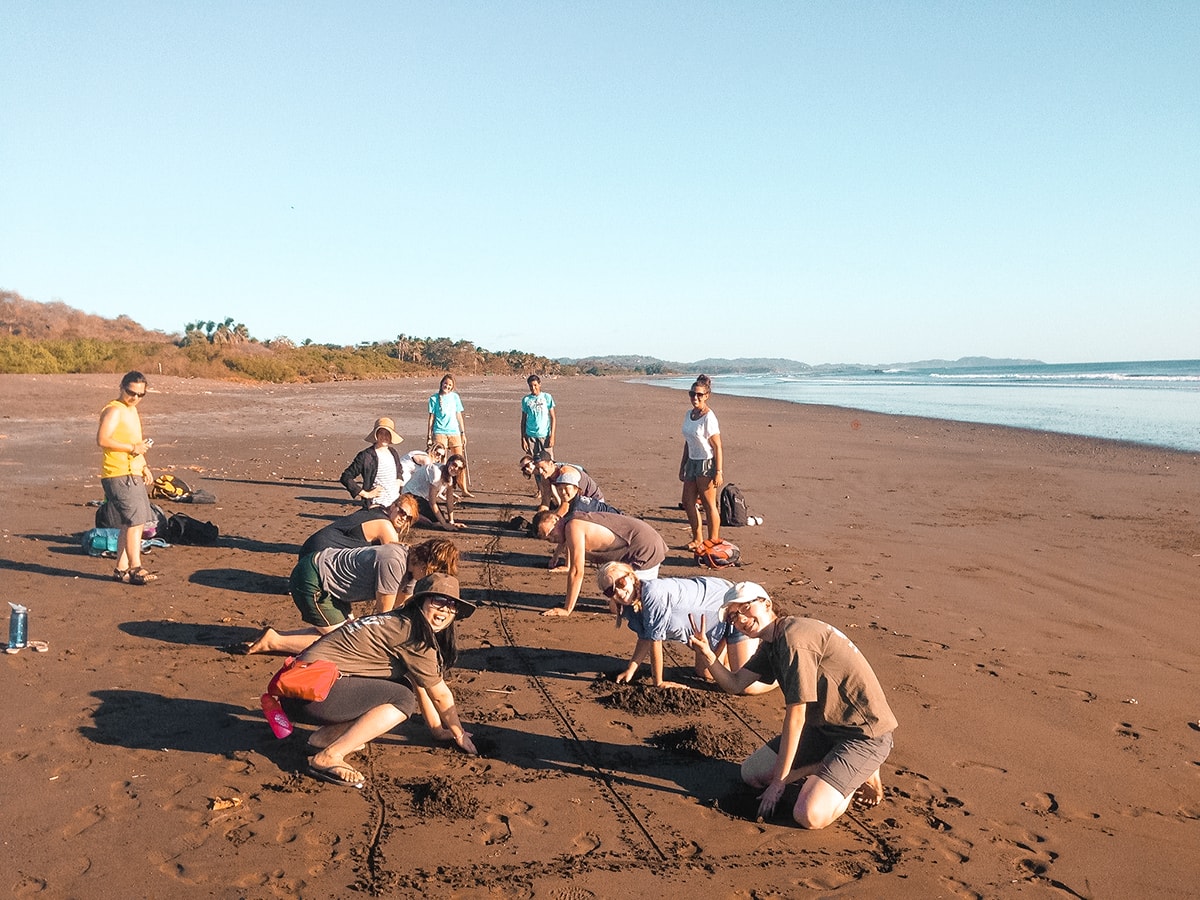 Ostional, Costa Rica | Volunteer work | Conservation | Animals | Turtles | Costa Rica | Guanacaste | Ostional | International Student Volunteers | ISV | Why should I pay | Volunteer Abroad | What to do | Backpacking | Budget Travel | Solo Female Travel | Backpackers Wanderlust |