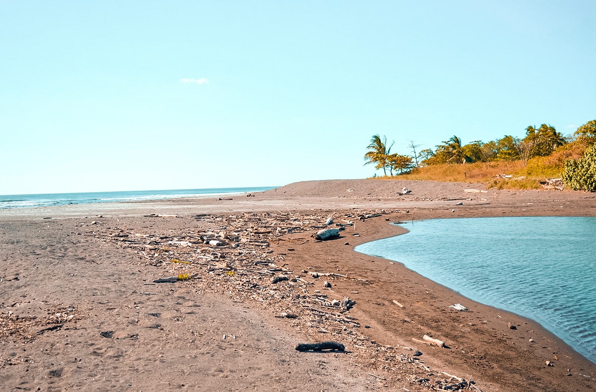 Ostional, Costa Rica | Volunteer work | Conservation | Animals | Turtles | Costa Rica | Guanacaste | Ostional | International Student Volunteers | ISV | Why should I pay | Volunteer Abroad | What to do | Backpacking | Budget Travel | Solo Female Travel | Backpackers Wanderlust |