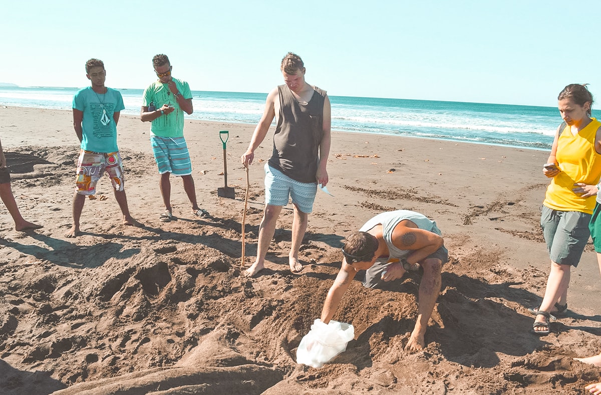 Ostional, Costa Rica | Volunteer work | Conservation | Animals | Turtles | Costa Rica | Guanacaste | Ostional | International Student Volunteers | ISV | Why should I pay | Volunteer Abroad | What to do | Backpacking | Budget Travel | Solo Female Travel | Backpackers Wanderlust |