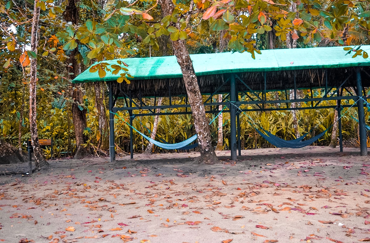 Exploring Manzanillo and Puerto Viejo In Costa Rica | Travel Central America | Caribbean | Hike | Hiking | Ocean | Rainforest | Backpacking Costa Rica | Beautiful beaches | What to do | Where to sleep | wildlife | party | Backpackers Wanderlust |