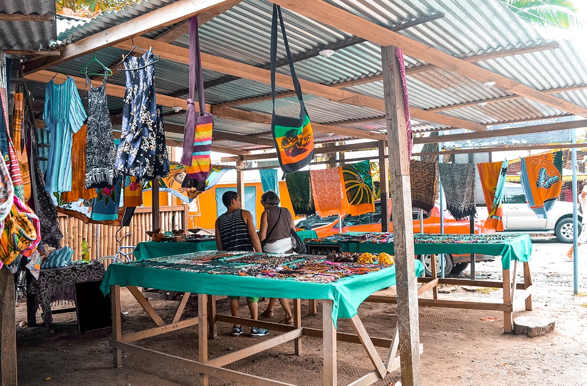 Exploring Manzanillo and Puerto Viejo In Costa Rica | Travel Central America | Caribbean | Hike | Hiking | Ocean | Rainforest | Backpacking Costa Rica | Beautiful beaches | What to do | Where to sleep | wildlife | party | Backpackers Wanderlust |