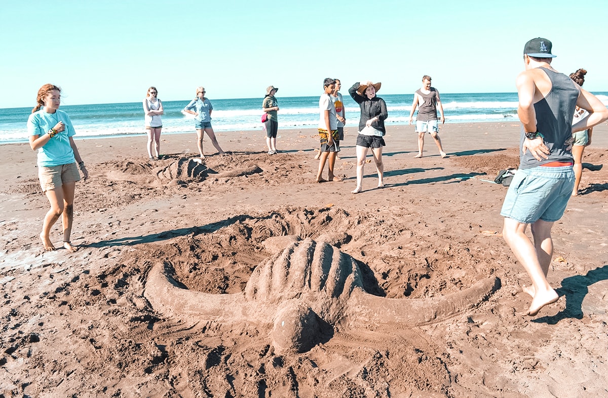 Ostional, Costa Rica | Volunteer work | Conservation | Animals | Turtles | Costa Rica | Guanacaste | Ostional | International Student Volunteers | ISV | Why should I pay | Volunteer Abroad | What to do | Backpacking | Budget Travel | Solo Female Travel | Backpackers Wanderlust |