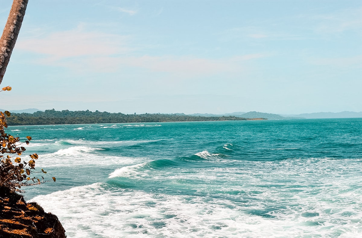 Exploring Manzanillo and Puerto Viejo In Costa Rica | Travel Central America | Caribbean | Hike | Hiking | Ocean | Rainforest | Backpacking Costa Rica | Beautiful beaches | What to do | Where to sleep | wildlife | party | Backpackers Wanderlust |