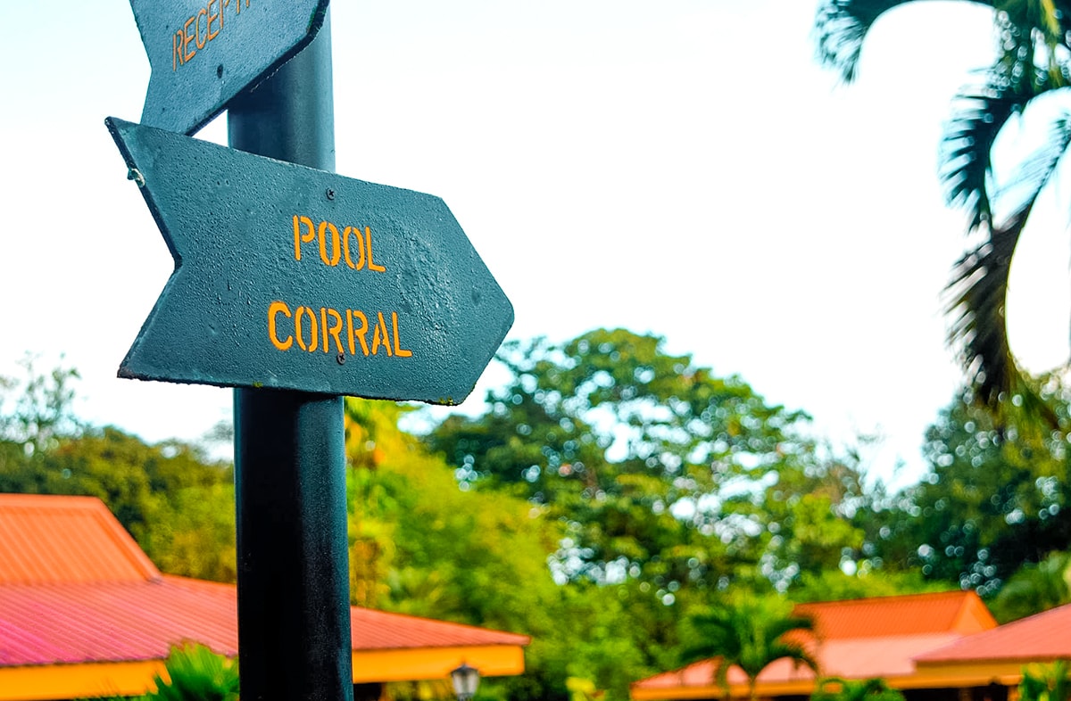 Exploring La Fortuna In Costa Rica | Travel Central America | La Fortuna | Zip line Costa Rica | Zip lining | Volcano | Rainforest | Backpacking Costa Rica | Hot pools | What to do | Where to sleep | Backpackers Wanderlust |