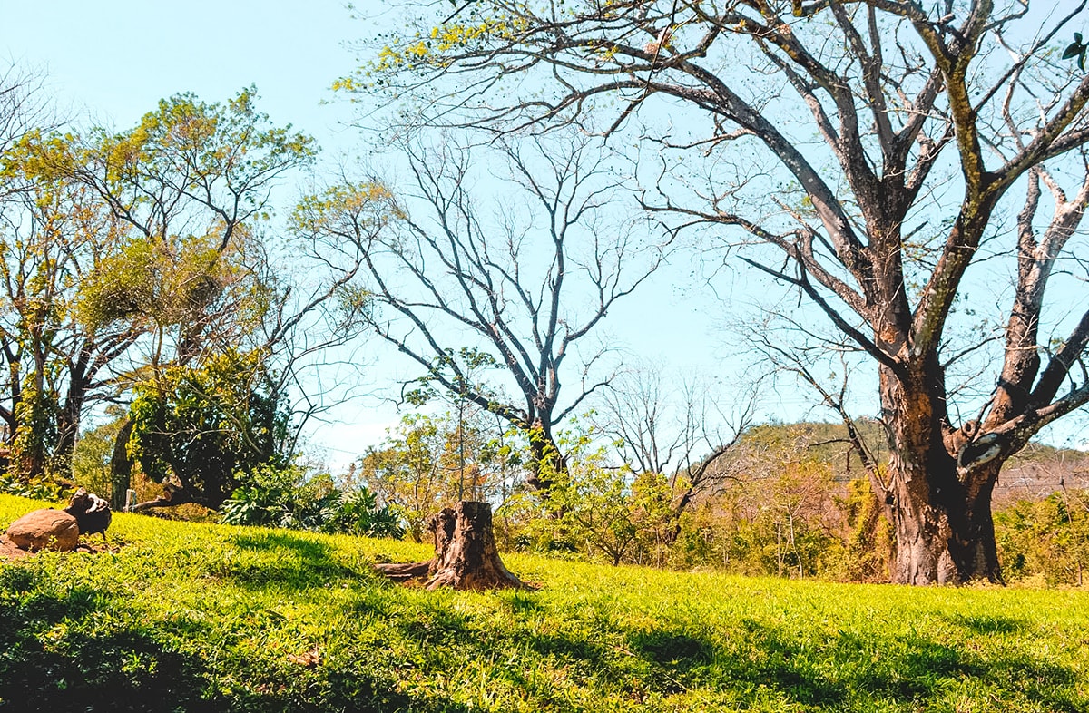 Exploring Ricon De La Vieja In Costa Rica | Travel Central America | Guanacaste | Hike | Hiking | Volcano | Rainforest | Backpacking Costa Rica | Mud bath | What to do | Where to sleep | Horse riding | Tubing | Backpackers Wanderlust |