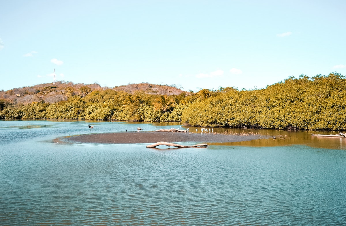 Ostional, Costa Rica | Volunteer work | Conservation | Animals | Turtles | Costa Rica | Guanacaste | Ostional | International Student Volunteers | ISV | Why should I pay | Volunteer Abroad | What to do | Backpacking | Budget Travel | Solo Female Travel | Backpackers Wanderlust |