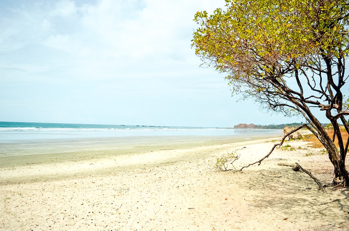 Day Trip in Playa Guiones | Travel Central America | Playa Guiones | Hike | Surfing | Surf | Beach | Backpacking Costa Rica | Kayaking | What to do | Where to sleep | Swimming | Tubing | Backpackers Wanderlust |