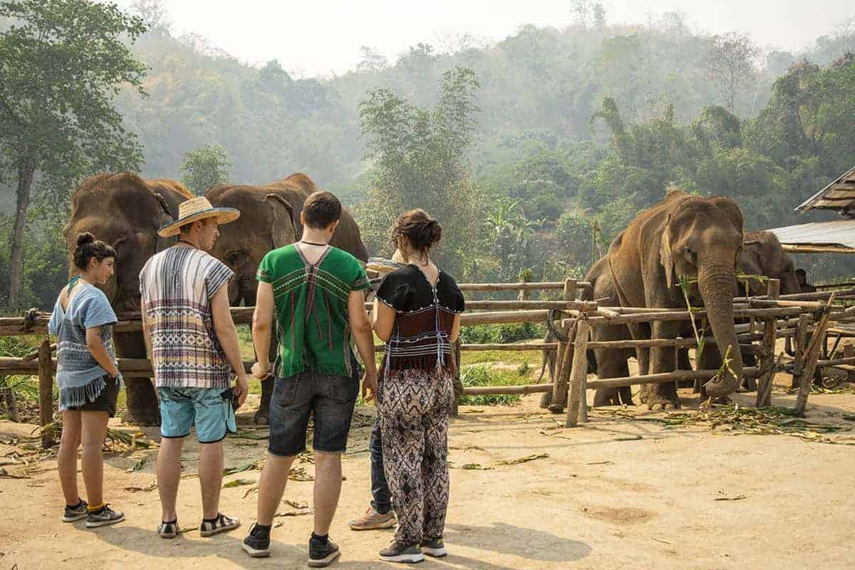 visiting elephant nature park during 3 days in chiang mai itinerary