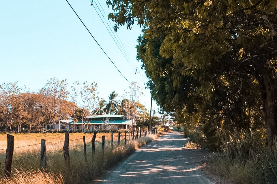 Ostional, Costa Rica | Volunteer work | Conservation | Animals | Turtles | Costa Rica | Guanacaste | Ostional | International Student Volunteers | ISV | Why should I pay | Volunteer Abroad | What to do | Backpacking | Budget Travel | Solo Female Travel | Backpackers Wanderlust |