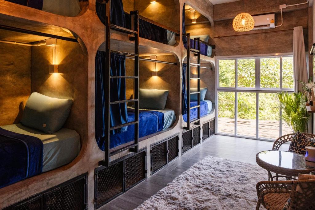 Wonderland Jungle Hostel