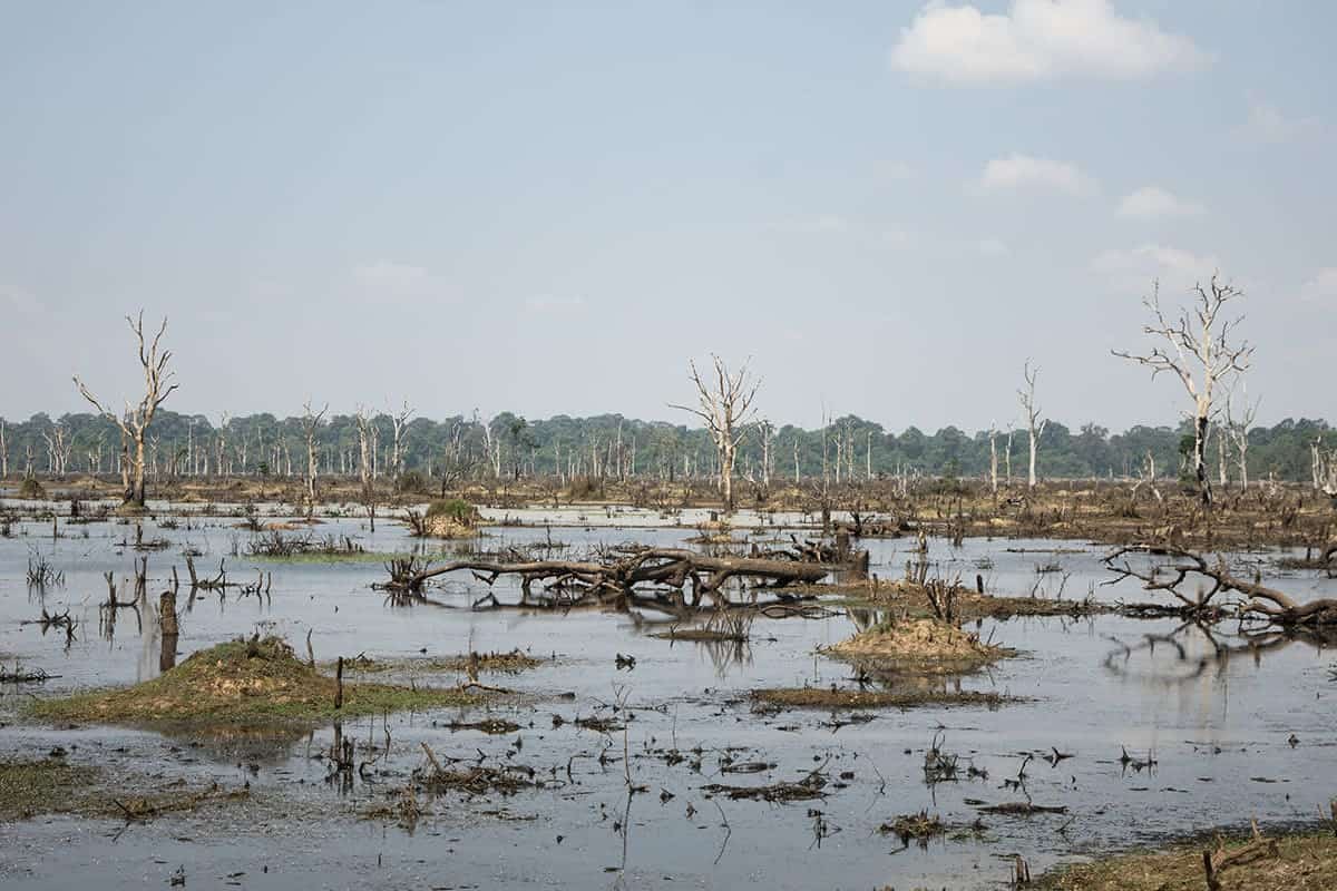 Angkor Wat Grand Circuit: All YOU Need To Know (2025) 11 walking along the pathway to neak pean