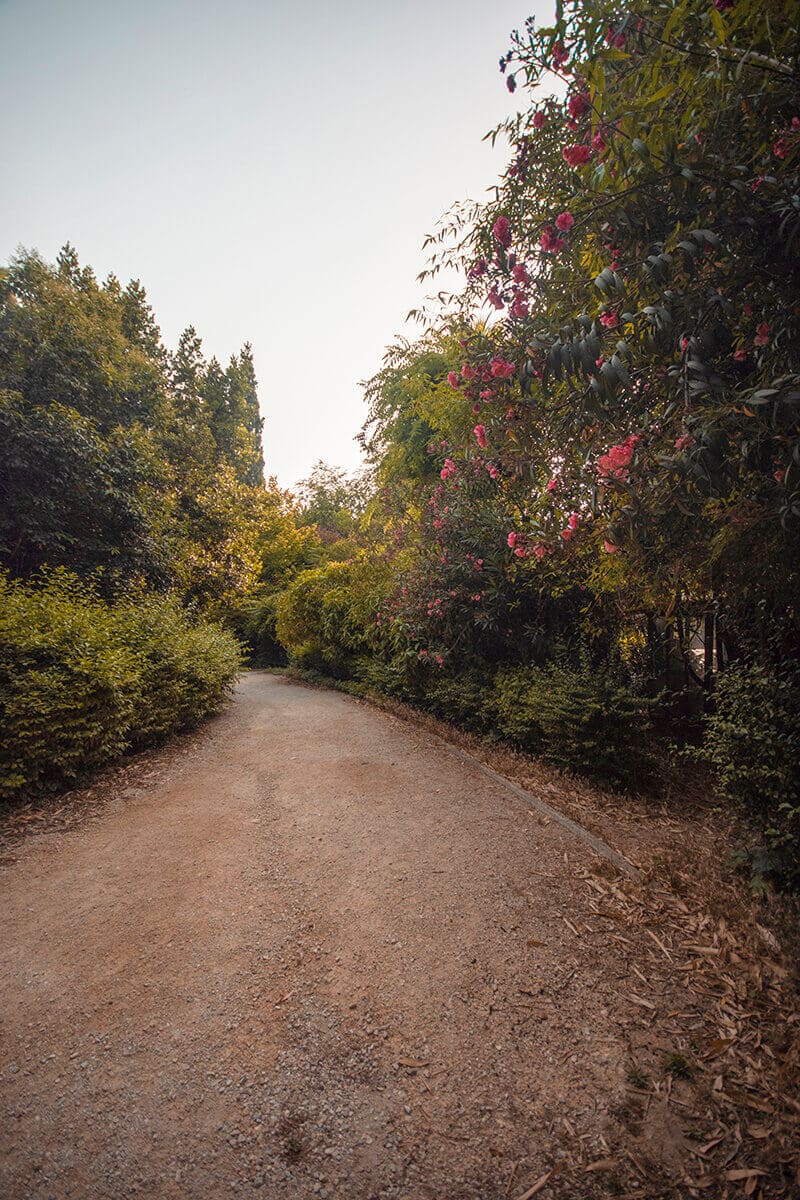 national gardens flowers backpacking athens on a budget