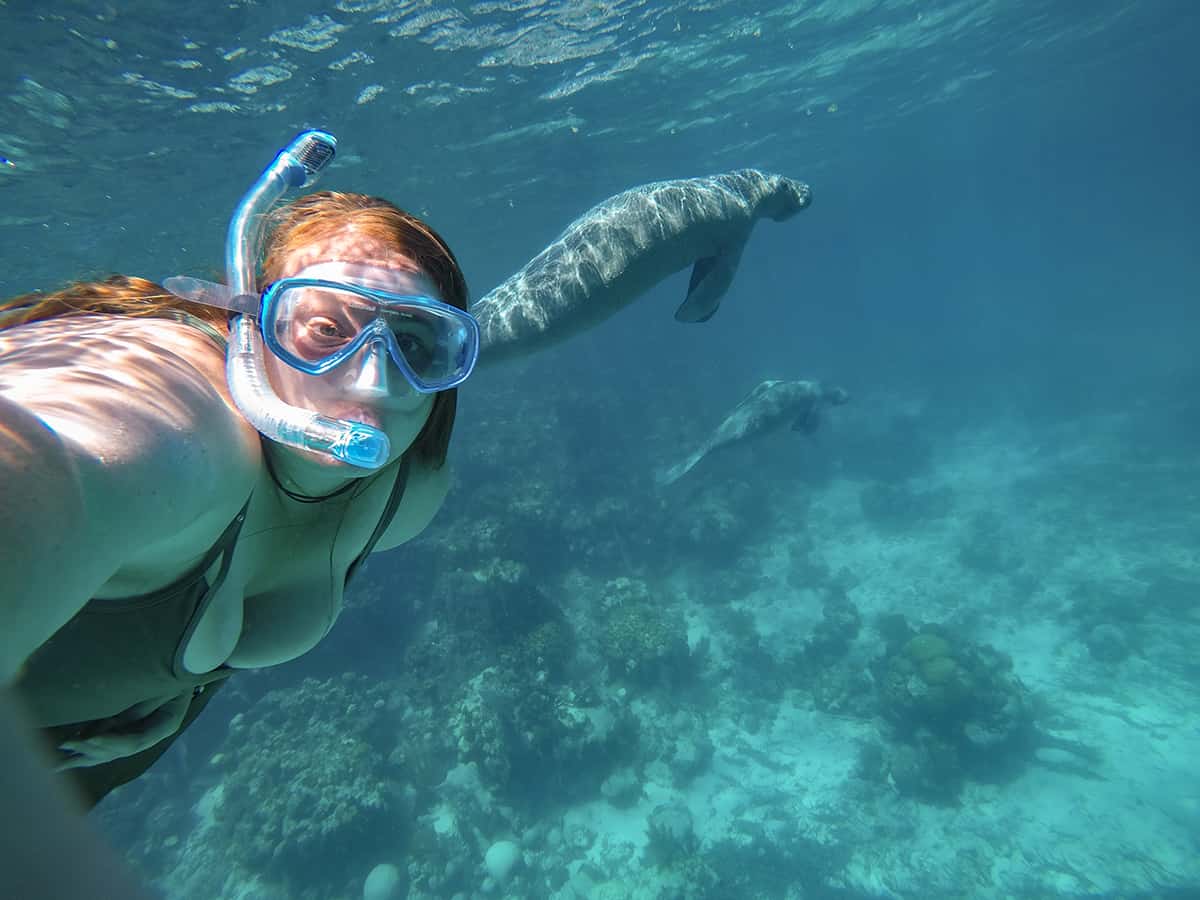 the ultimate highlight when backpacking caye caulker is swimming with manatees