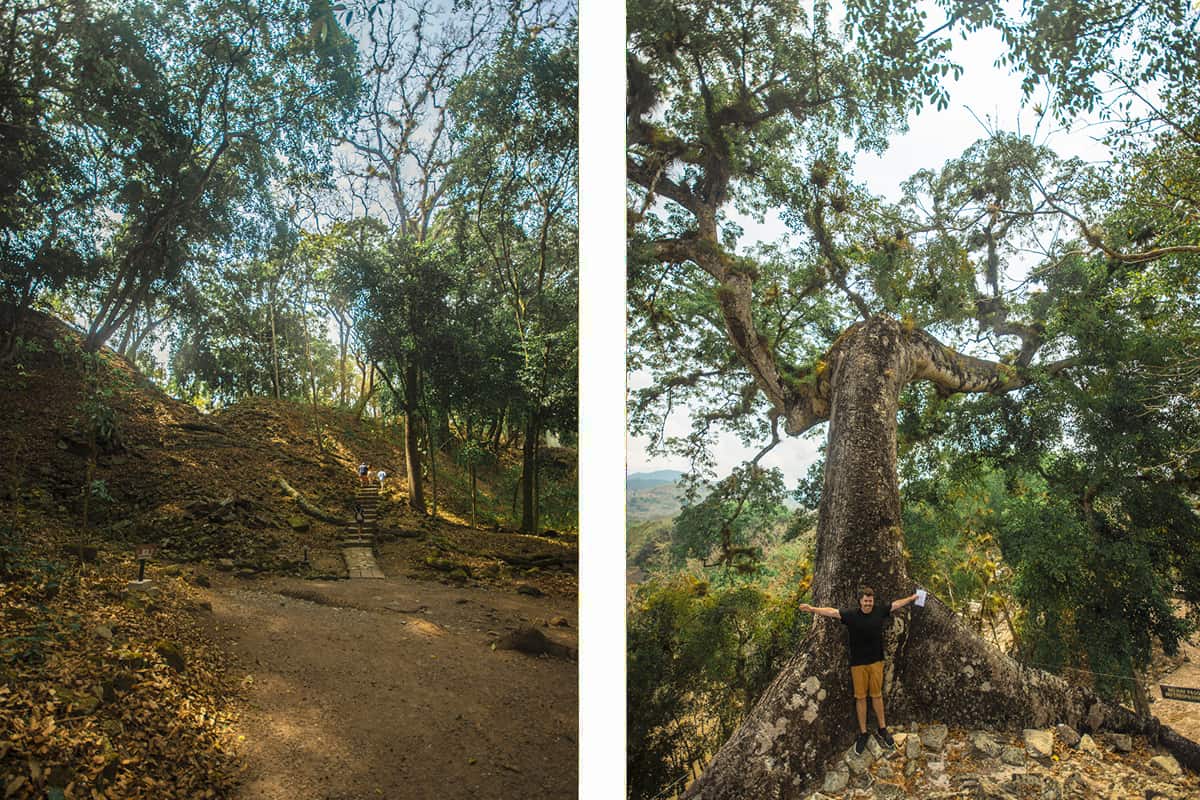 impressed by the grandeur of the ruins in copan ruinas