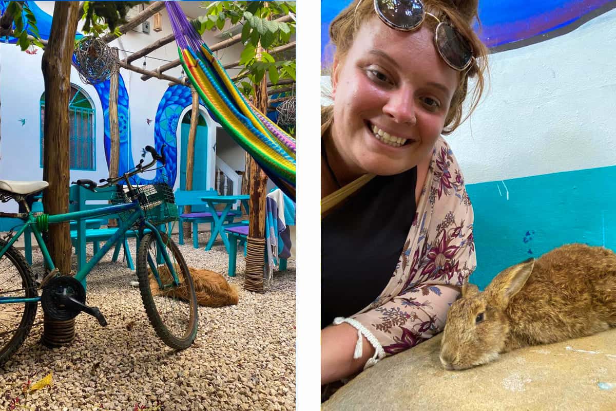 hanging out with some of the animals at my hostel in flores in guatemala