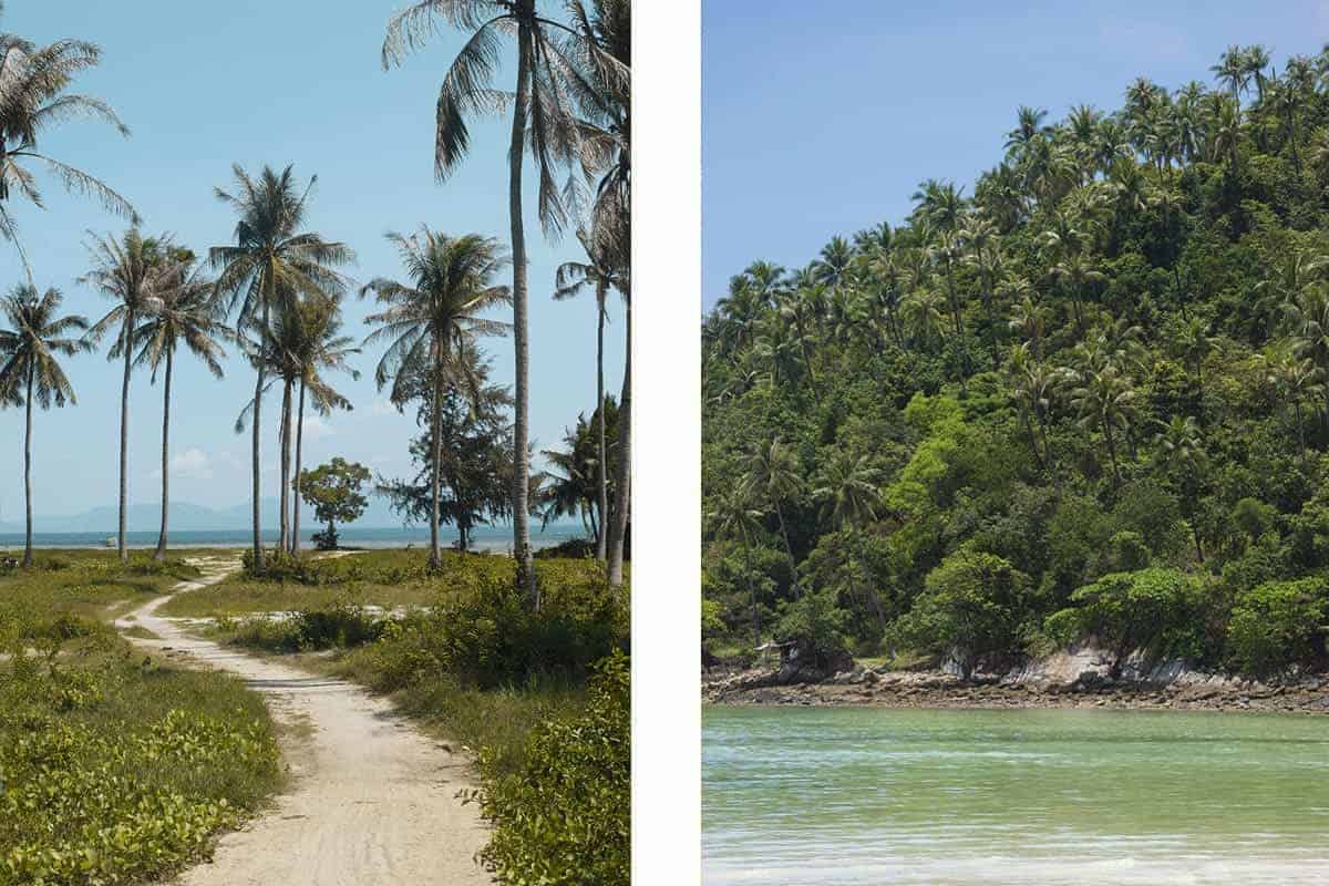pathway to the beach in baan tai koh phangan