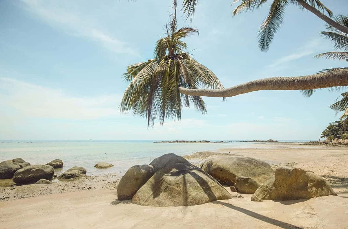 large boulders at the beach in koh phangan with palm trees hanging overtop