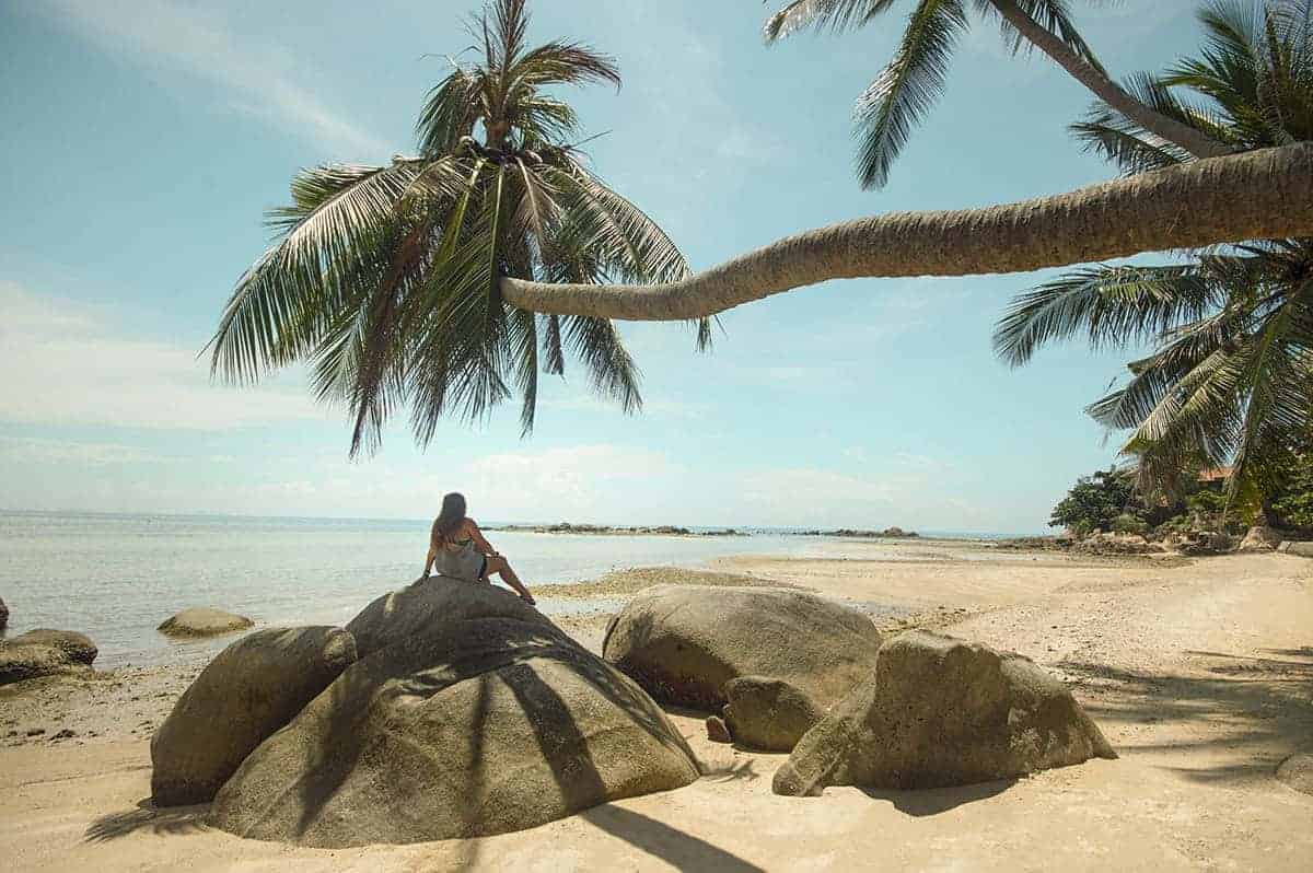 relaxing on the beach at koh phangan under the shade of a palm tree
