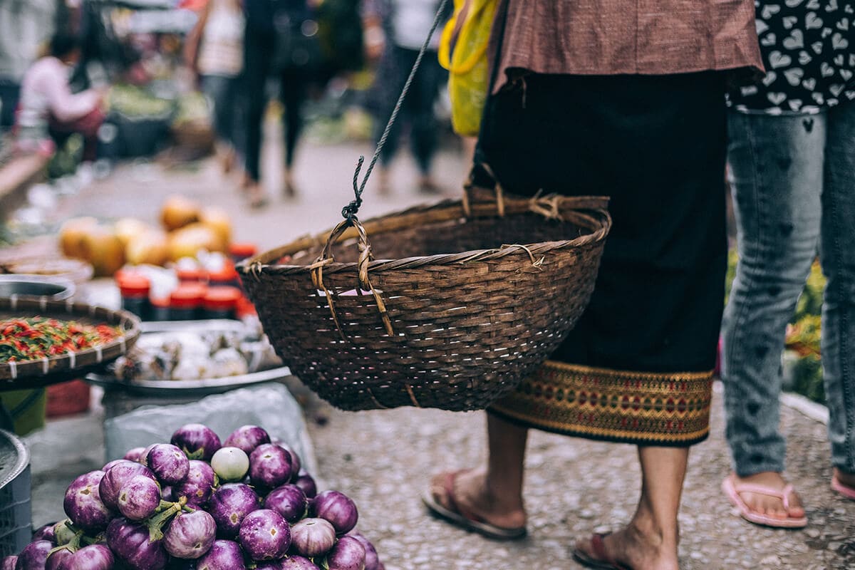 shopping at the luang prabang morning market