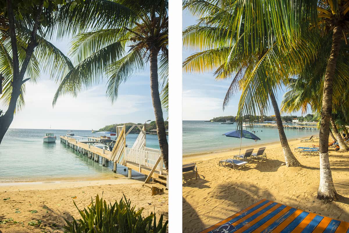 Backpacking Roatan & BEST Hostels In Roatan (2025) 21 gorgeous golden sand and palm trees at half moon bay in roatan