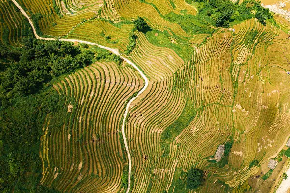 flying over the sapa rice terraces