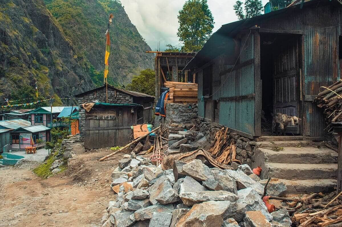 goats and buildings in jagat on the annapurna circuit