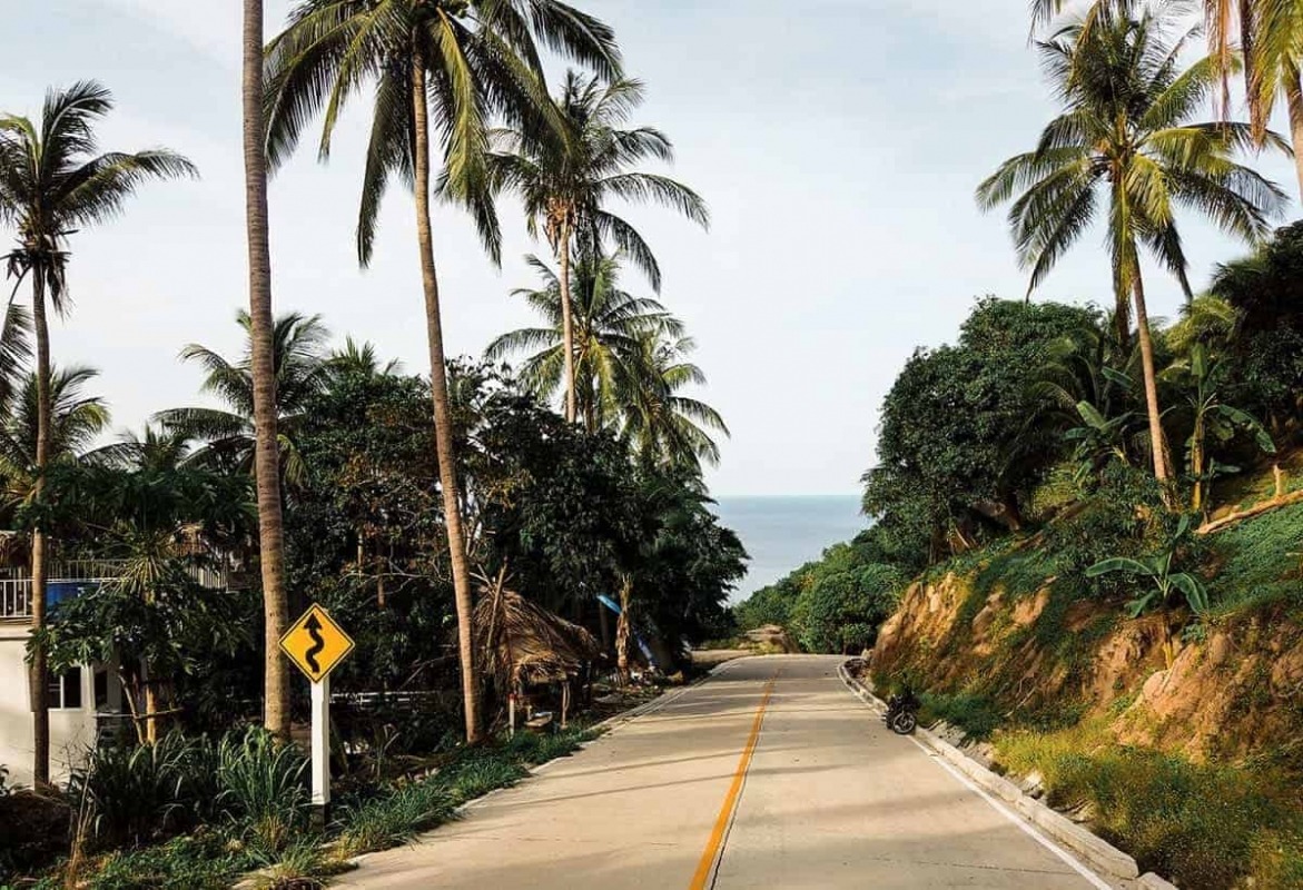 roads in bangkok to koh tao with palm trees