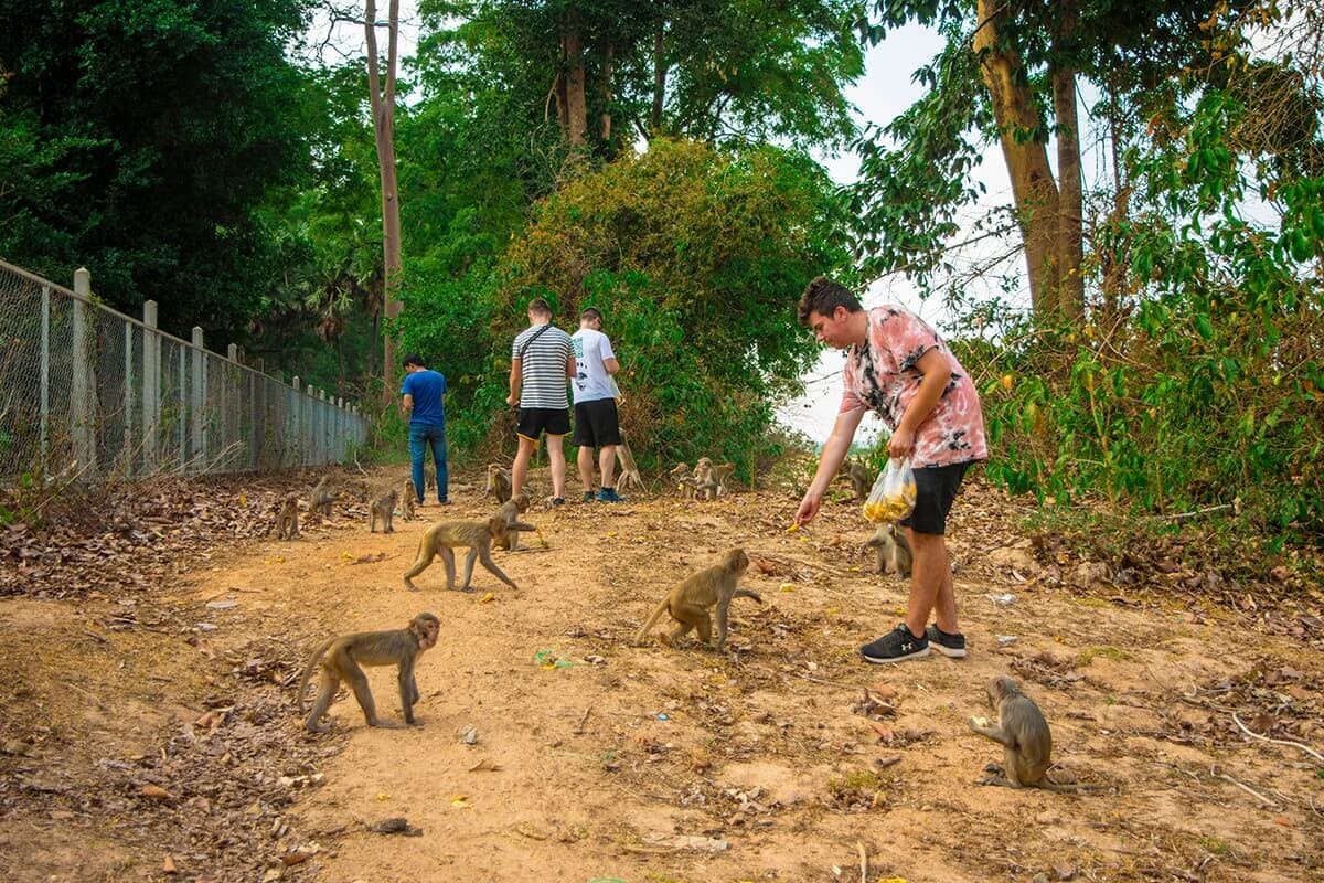 feeding monkeys in xe champhone group tour vs solo travel in southeast asia