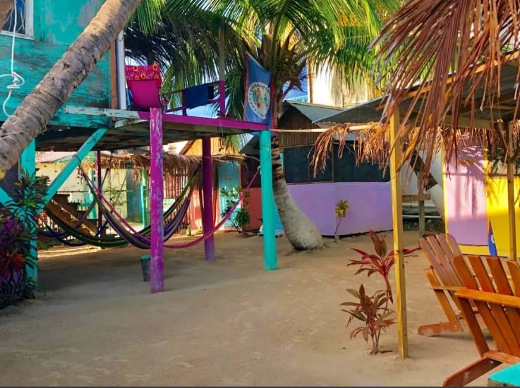 plenty of chill space including hammocks at tropical oasis hostel in caye caulker