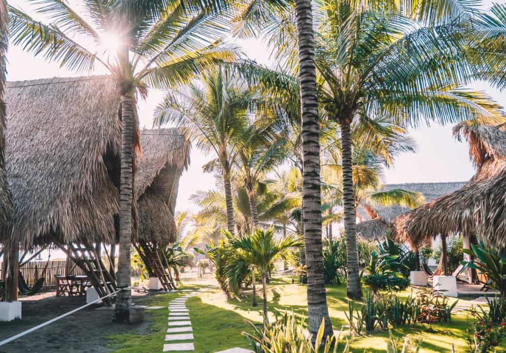 the beautiful grounds at paredon surf house