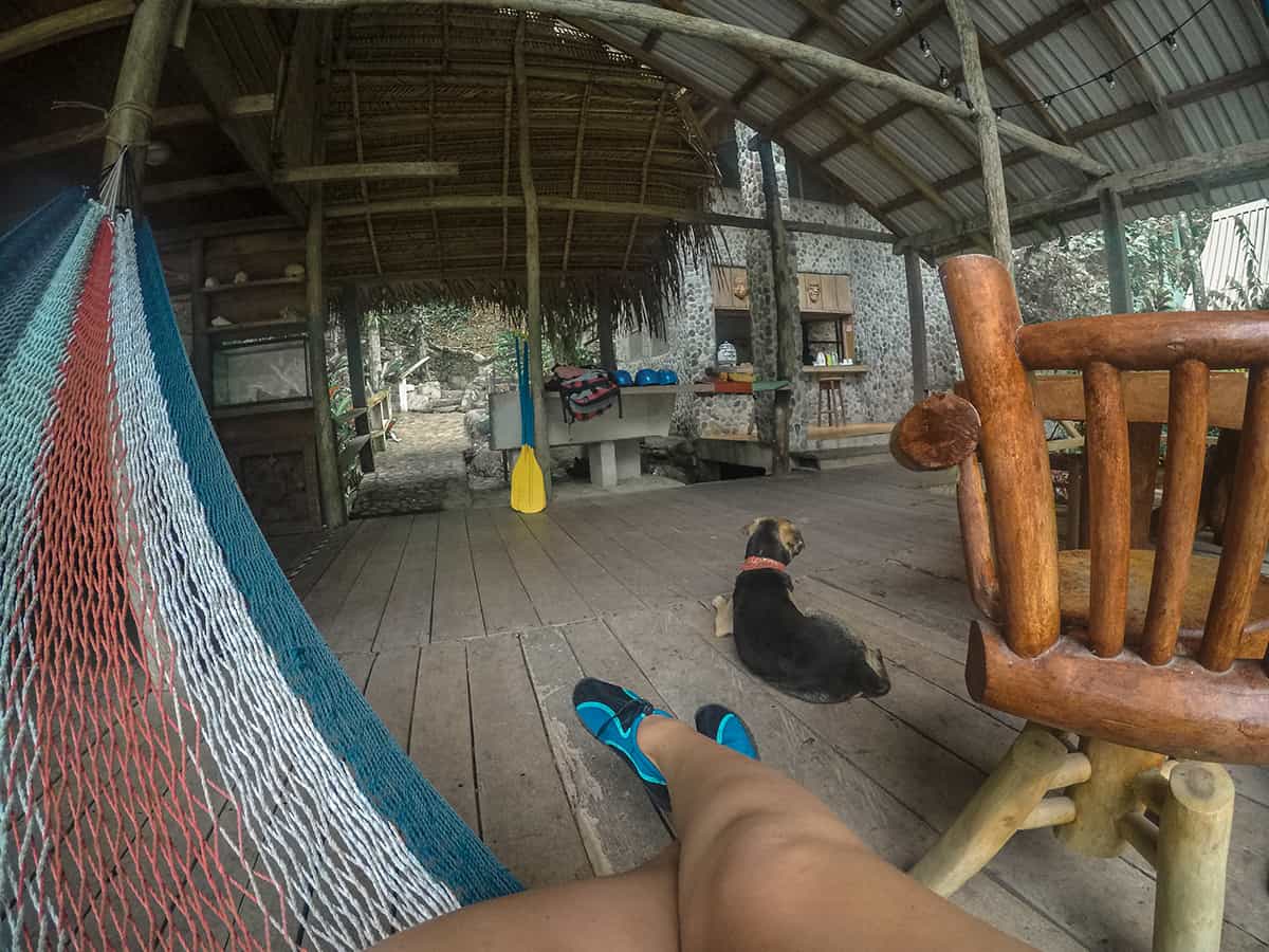 hanging out in the communal area at jungle river lodge in la ceiba with the hostel dog