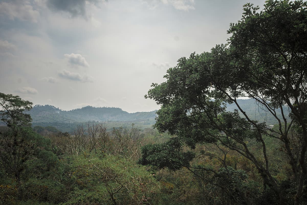 The 24 Best Things To Do In Copan Ruinas: From Ruins, Hot Springs, Food & More 27 looking off into the jungle and hills from copan ruinas