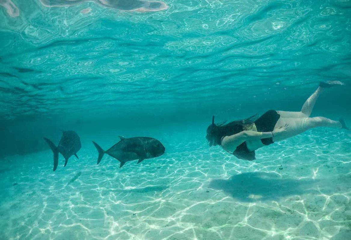 the best things to do in rarotonga