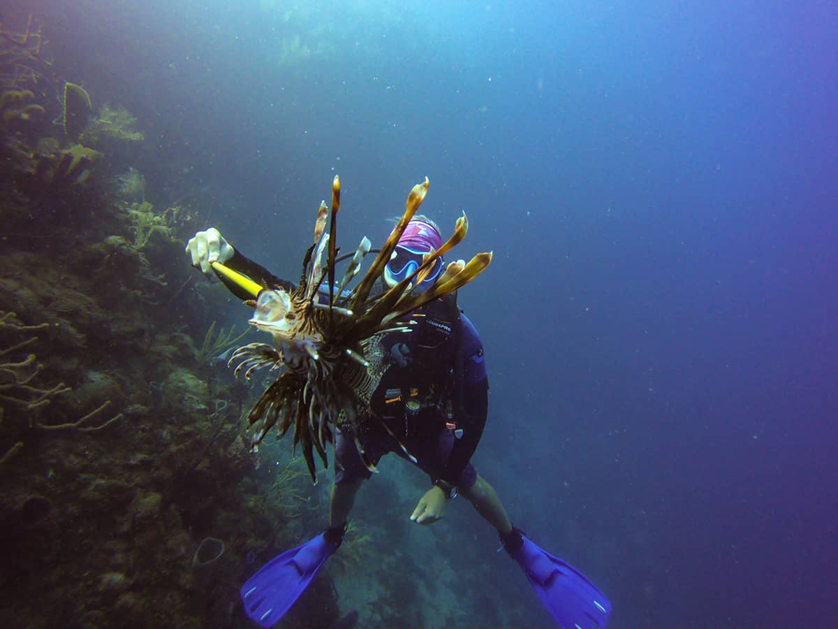 spearing a lionfish on one of our dives in roatan