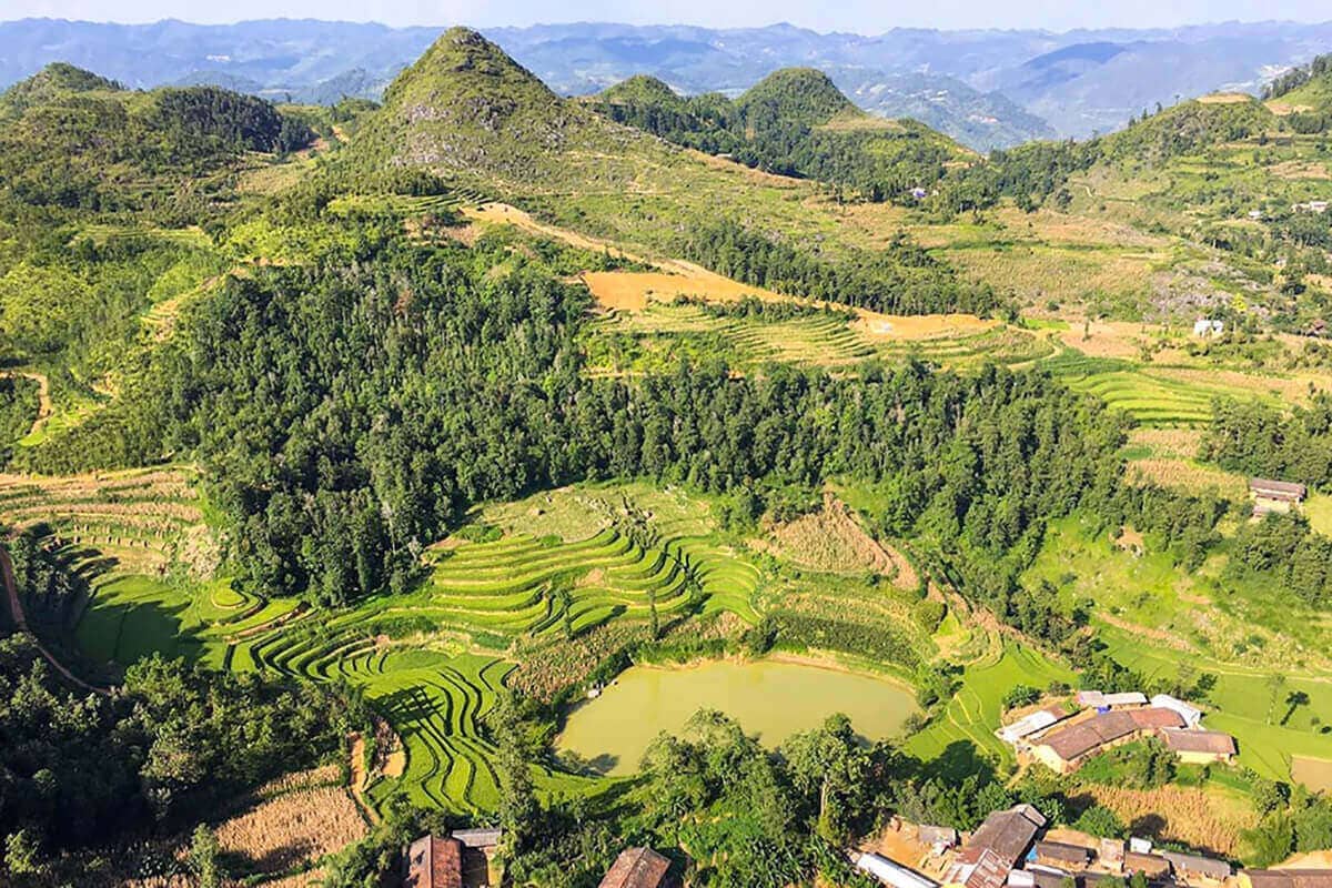 rice terrace landscape while doing the motorbike loop in Ha Giang