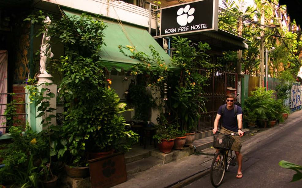 a green street view of born free hostel near khao san road