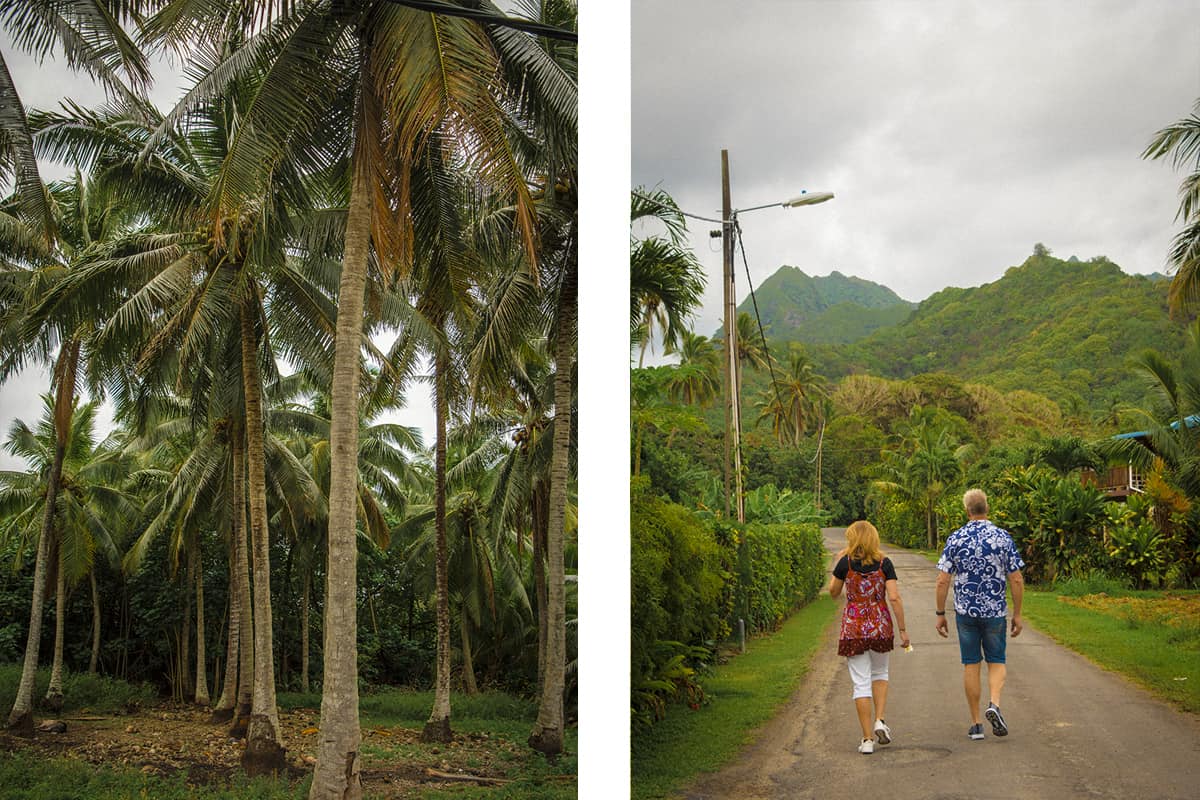 How To Take The Bus: Raro Bus Schedule, Fares & More 5 palm trees in rarotonga