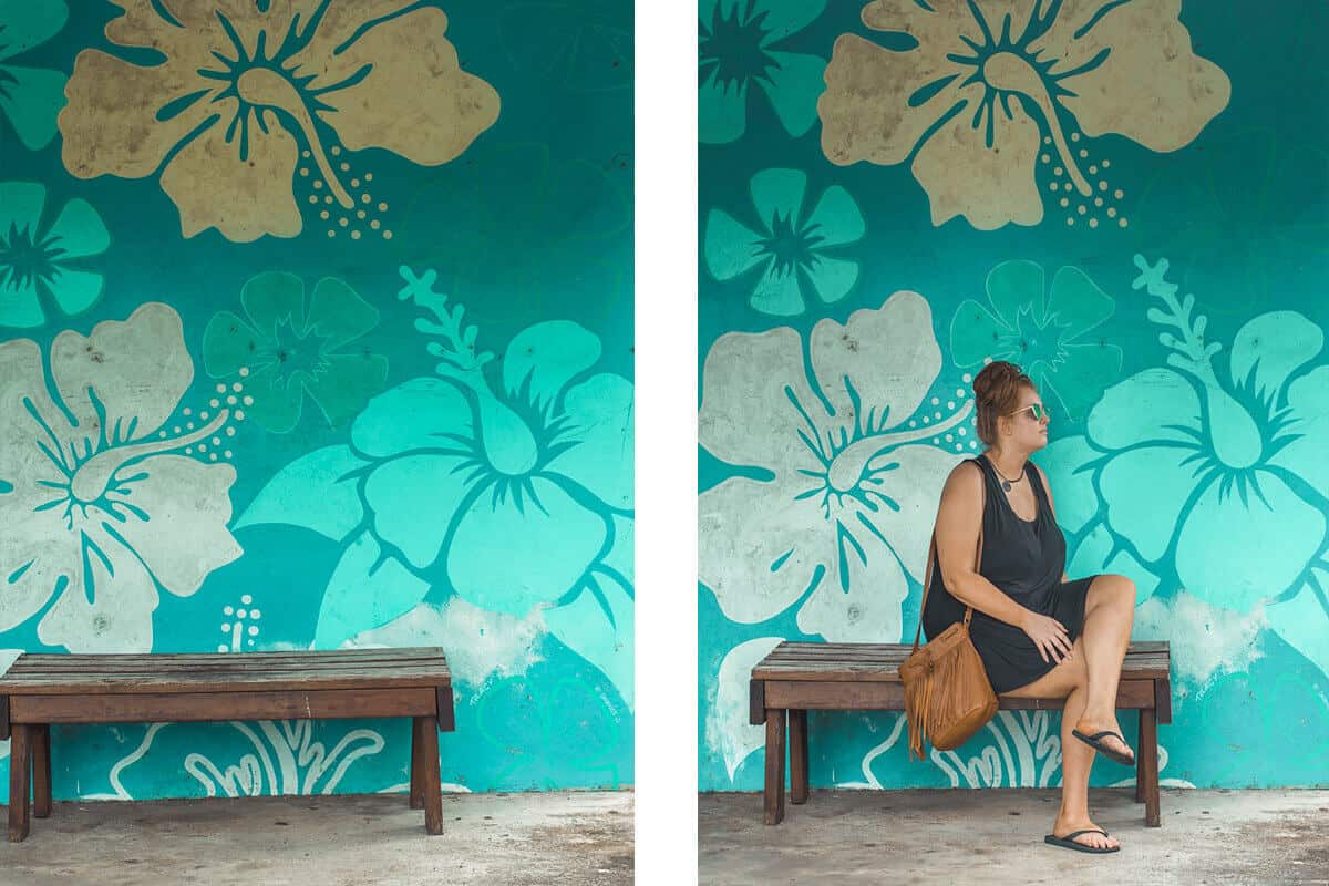 How To Take The Bus: Raro Bus Schedule, Fares & More 6 blue hibiscus mural in rarotonga