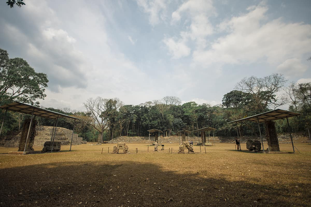 Copan Mayan Ruins: BEST Tips For Visiting In 2025 11 some of the impressive stelaes in the great plaza of the copan mayan ruins