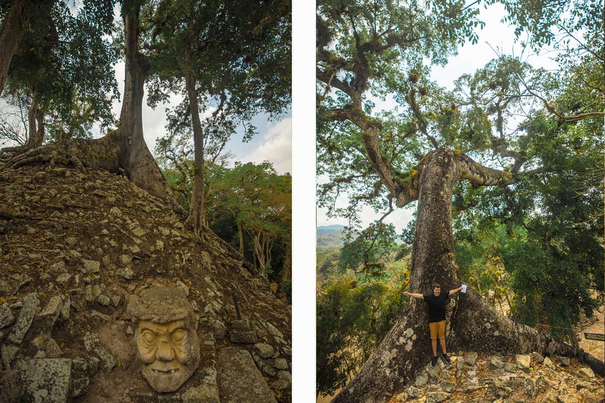 Copan Mayan Ruins: BEST Tips For Visiting In 2025 16 climbing over the acropolis at the copan ruins and admiring how nature has taken over