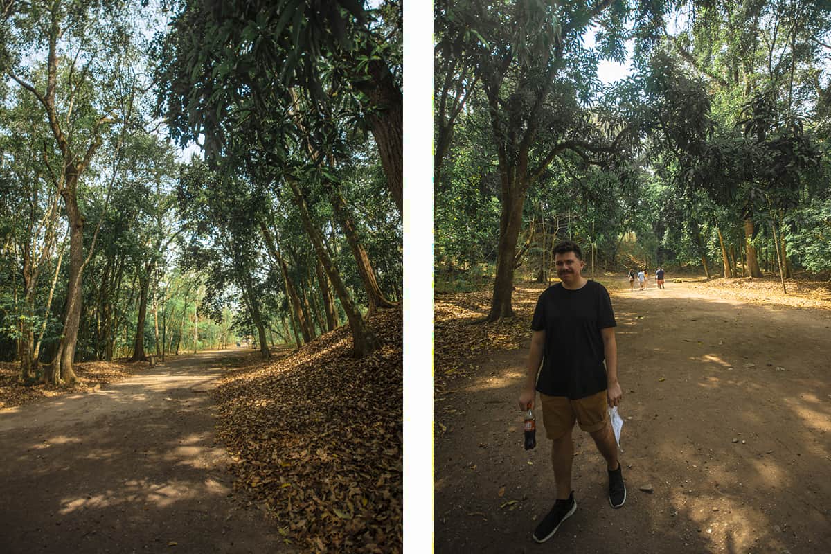 Copan Mayan Ruins: BEST Tips For Visiting In 2025 22 arriving at the copan mayan ruins and making our way to the west court